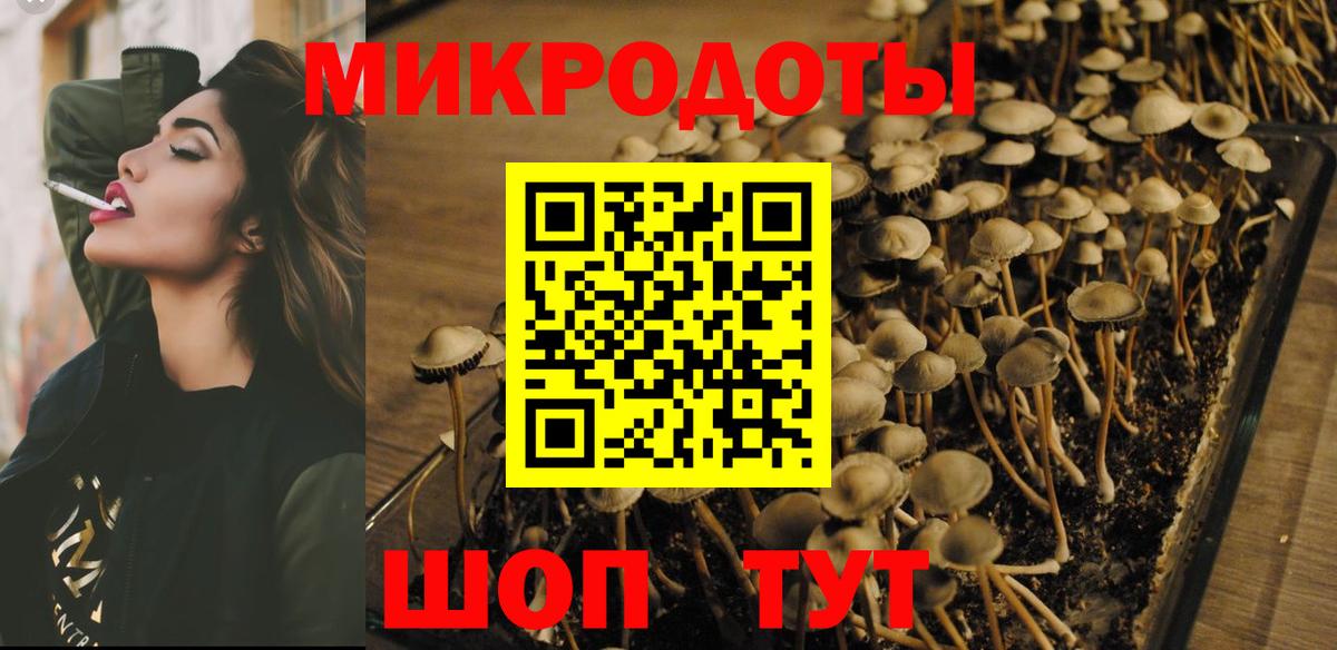 Псилоцибиновые грибы ЛСД Менделеевск