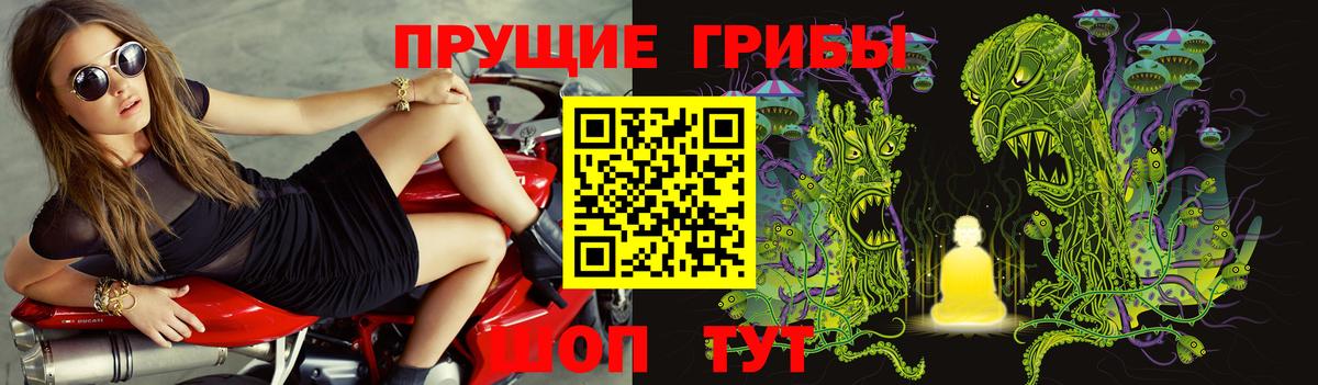 где продают   Вход с VPN  Менделеевск  Псилоцибиновые грибы GOLDEN TEACHER 